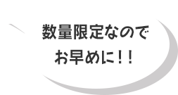 数量限定なのでお早めに！！