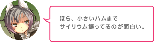 ほら、小さいハムまでサイリウム振ってるのが面白い。