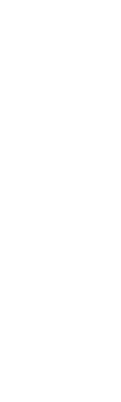 悪魔はこの空に呪いをかけた 小さな鳥が飛び立つまで 空を廻らせ続けるために――。